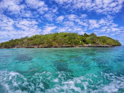 Île aux Aigrettes