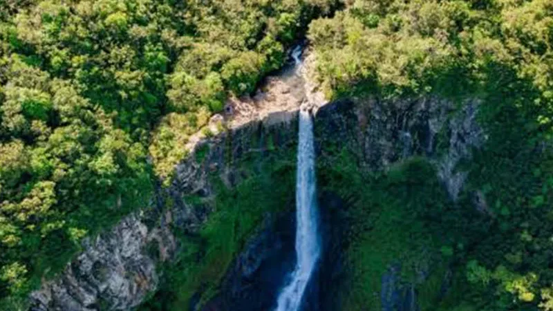  Alexandra Falls Viewpoint