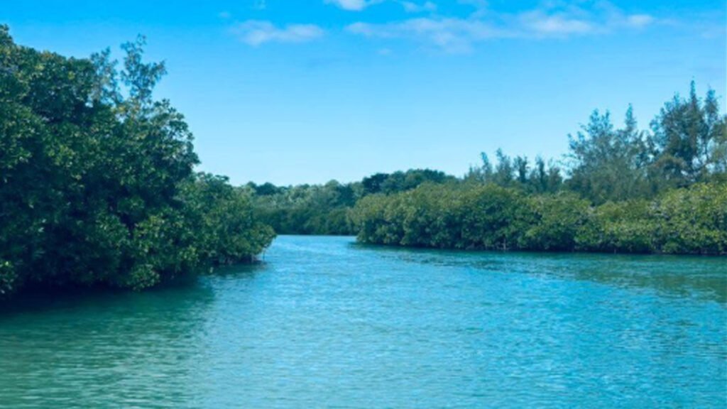 Excursions bateau – l’Île d’Ambre & l’Île Bernache