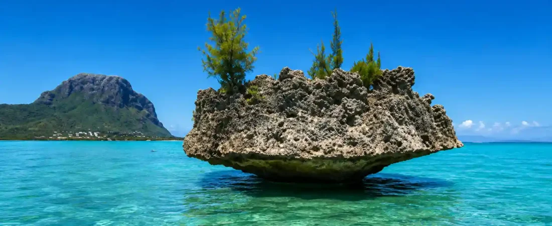 Île aux Bénitiers