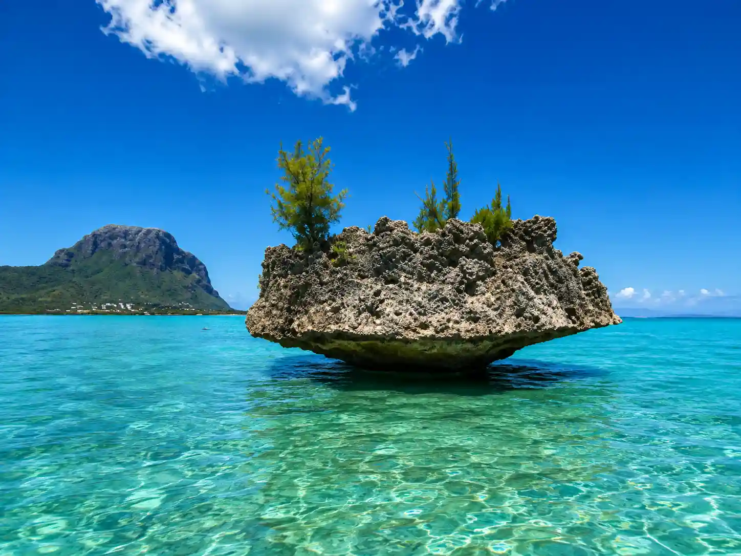 Île aux Bénitiers