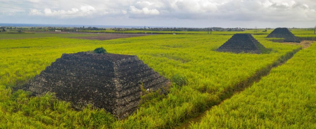 Les Pyramides de Plaine Magnien