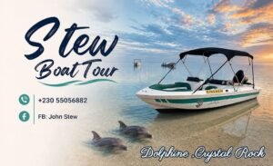 Stew – île aux bénitier et dauphins