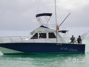 Big game fishing