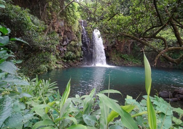 La cascade Minissy près de Moka