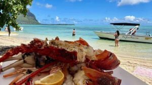 Pat & Les Frenchies – excursion bateau