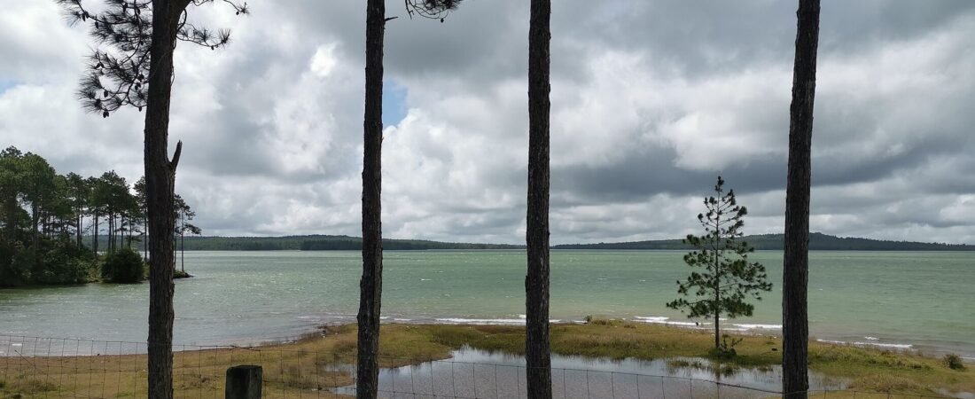 Mare aux Vacoas