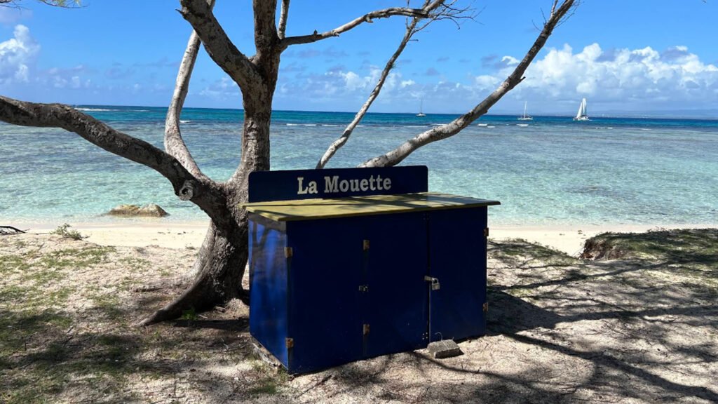 La mouette