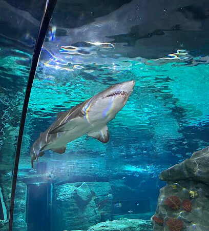 Odysseo- oceanarium