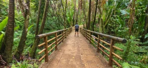 RICH ADVENTURE – Guide