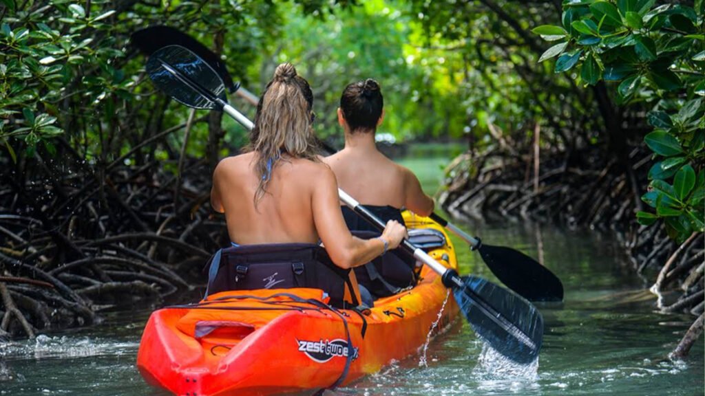 Sea Kayak Adventures