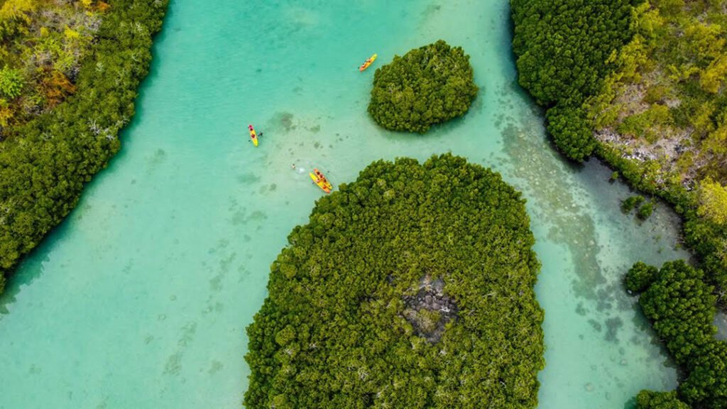Sea Kayak Adventures