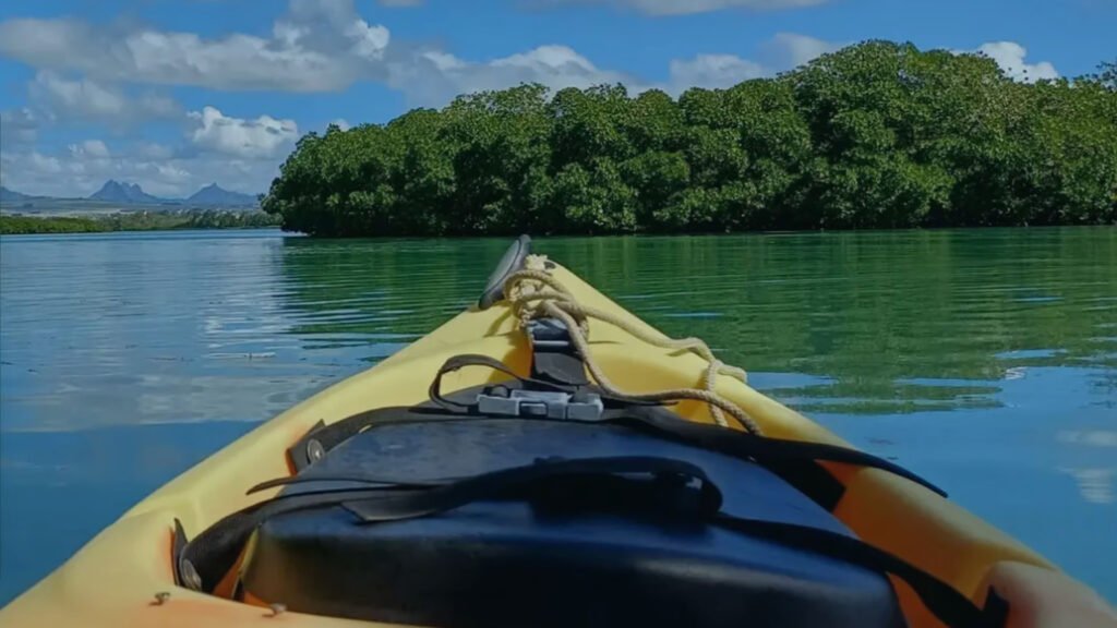 Sea Kayak Adventures