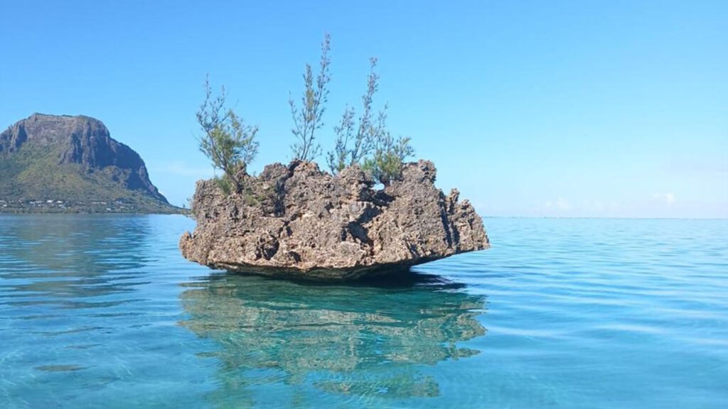 Stew Boat-tour