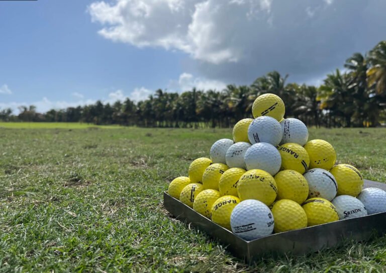 Anahita Golf Club - photo 4