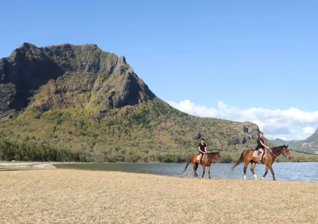 Haras Du Morne