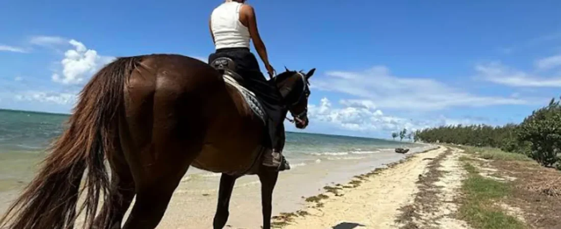 Haras Du Morne – Balade à cheval