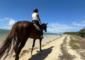 Haras Du Morne – Balade à cheval