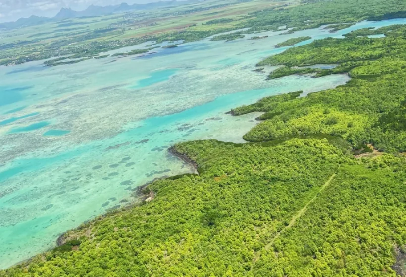 Island Wings Mauritius