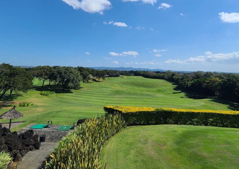 Links Golf Course - photo 4